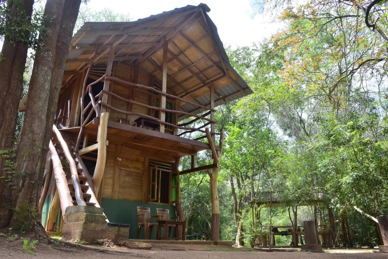 Wilpattu Jungle Resort Nochchiyagama Exterior foto