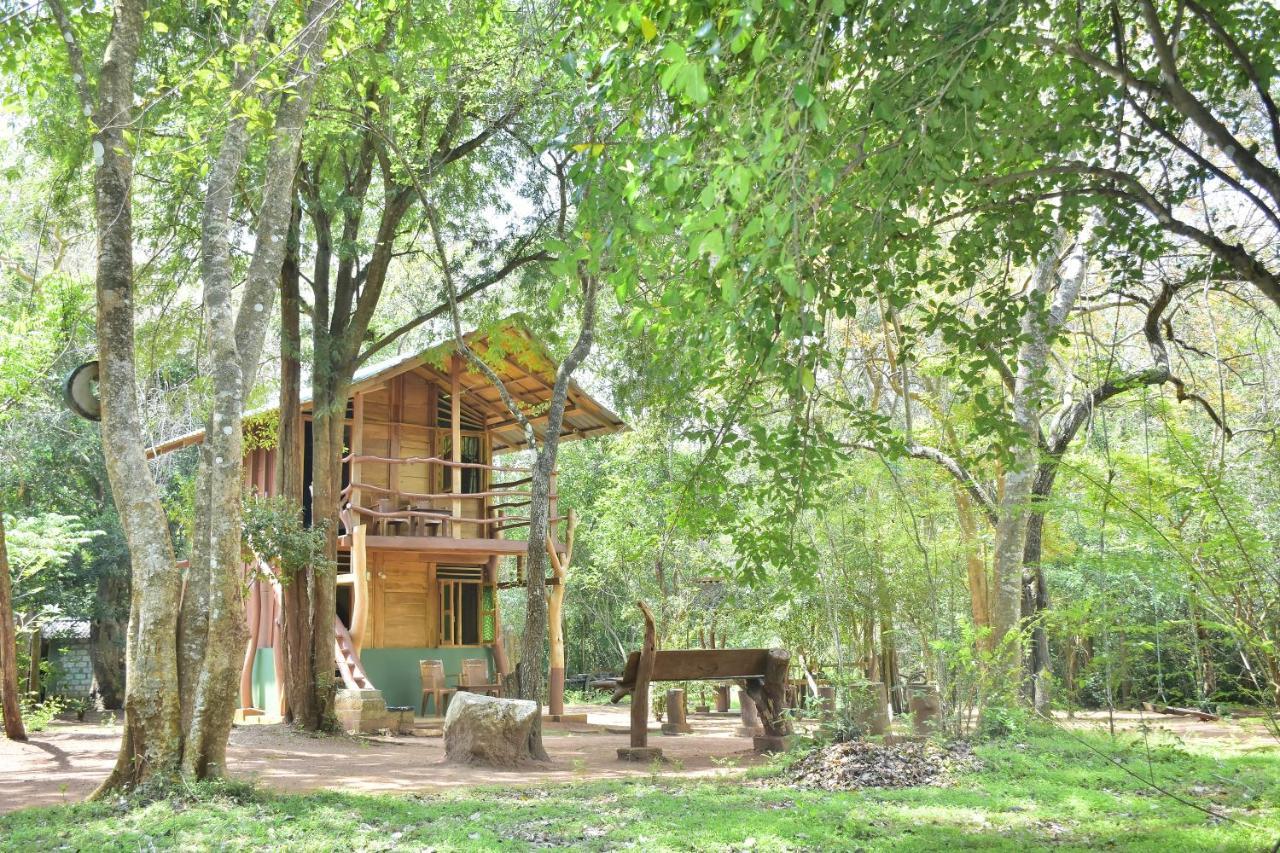 Wilpattu Jungle Resort Nochchiyagama Exterior foto