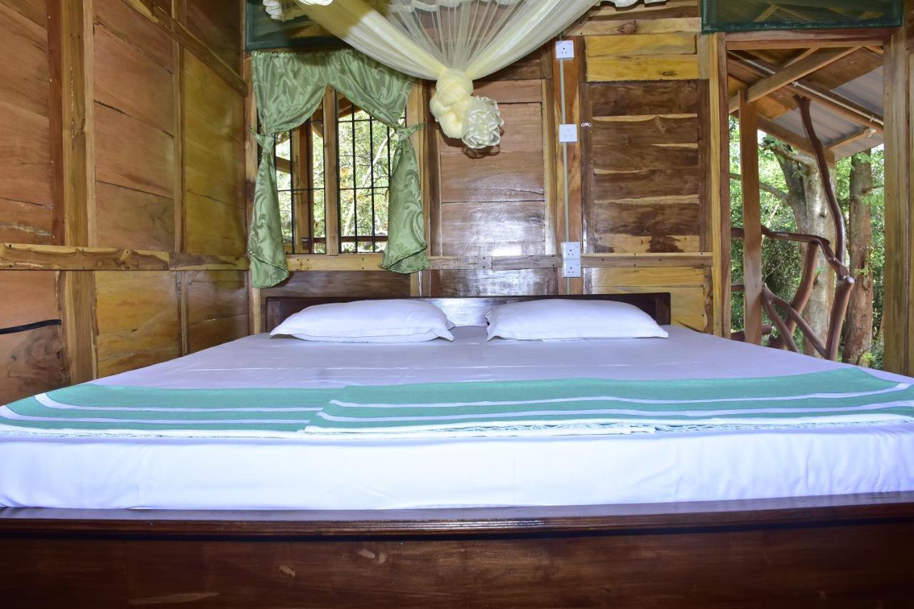 Wilpattu Jungle Resort Nochchiyagama Exterior foto